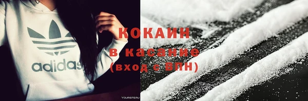 прущие грибы Навашино