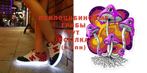 стаф Бежецк