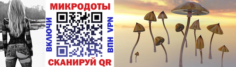 Галлюциногенные грибы Magic Shrooms  продажа наркотиков  Шлиссельбург 